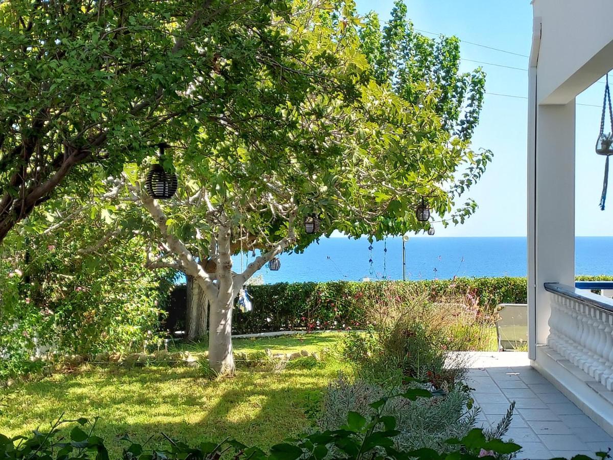 Villa Stegna Archangelos  Bagian luar foto